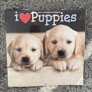 New unopened 2021 puppy calendar